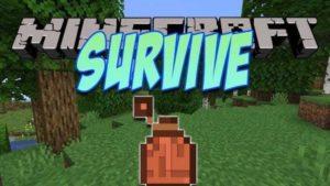 Survive - новые параметры жажда и температура ( 1.16.5, 1.16.4, 1.16.3, 1.15.2)
