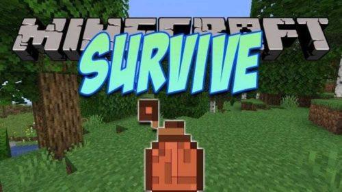 Survive - новые параметры жажда и температура ( 1.16.5, 1.16.4, 1.16.3, 1.15.2)