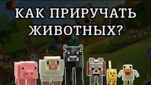 Как приручать животных в Майнкрафт?